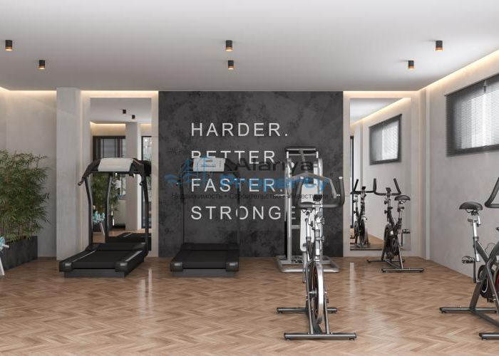 3 FITNESS