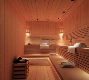 SAUNA (1)